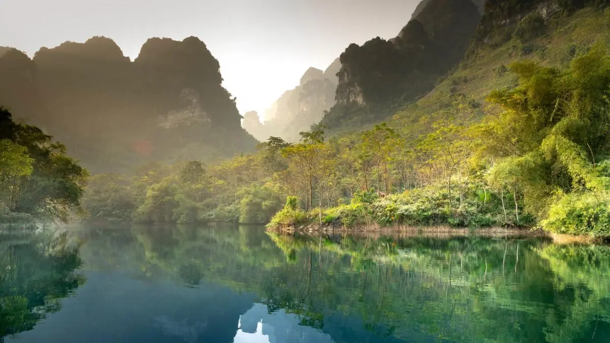 智能系统环保